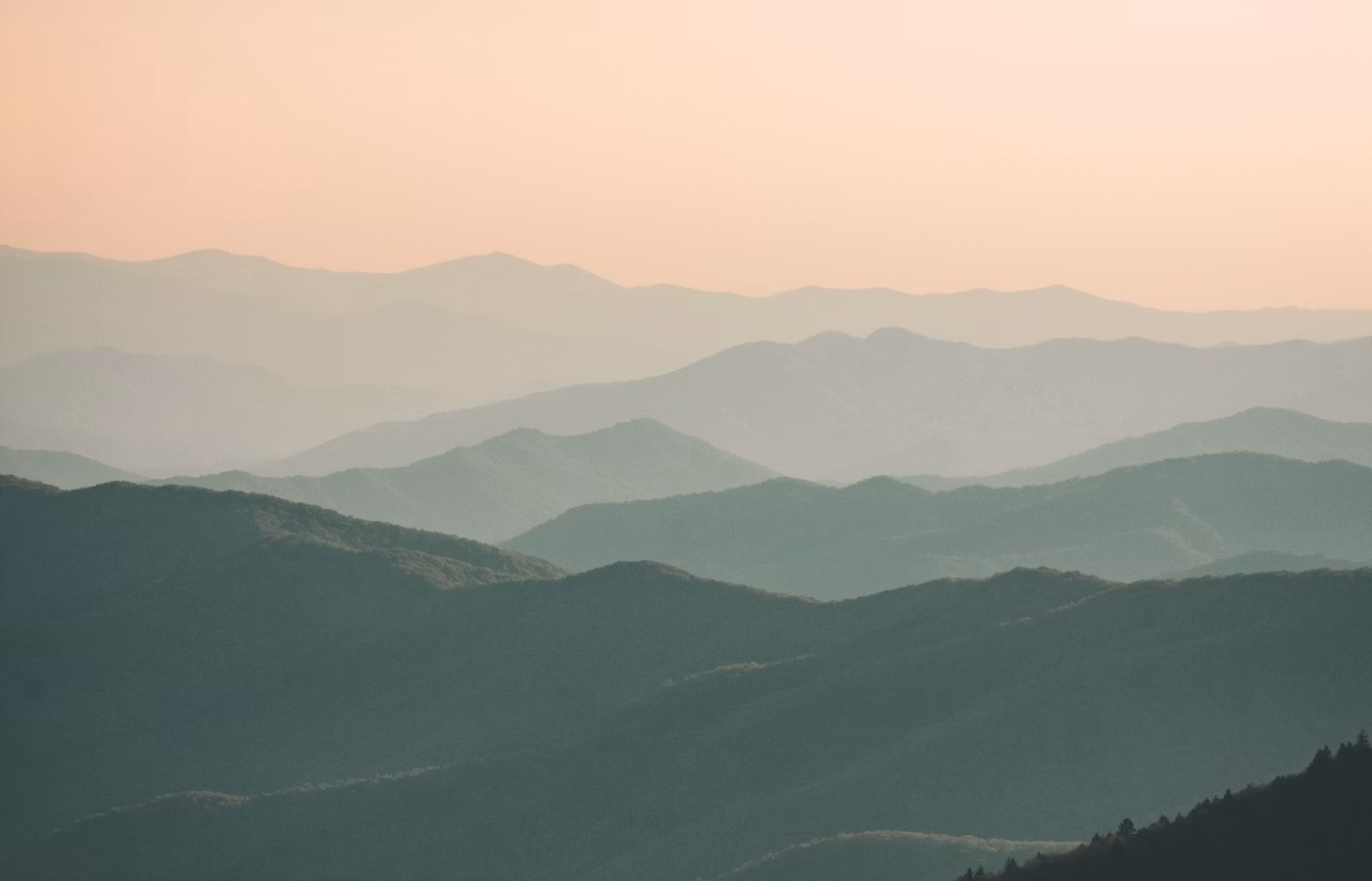 Внутренняя опора для специалиста